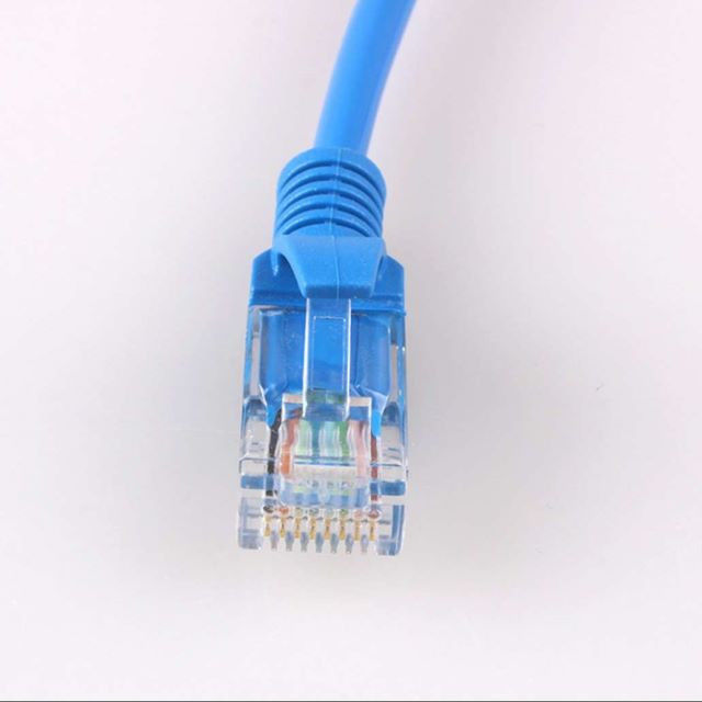 Les diverses longueurs RJ45 à la correction de RJ45 UTP 24AWG Cat6 attachent 4 paires de 8P8C